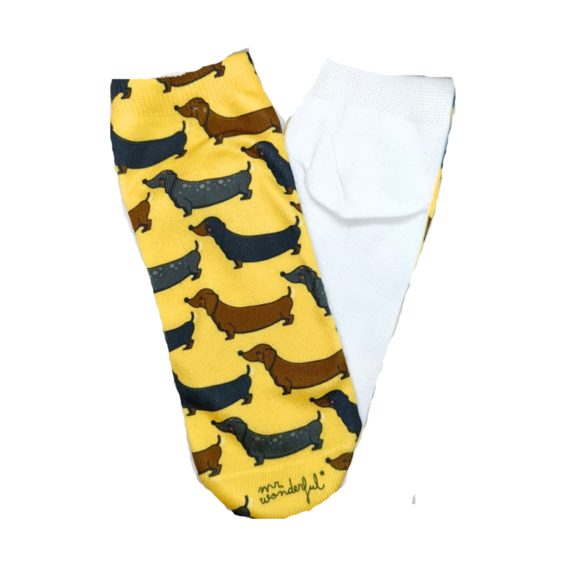 Calcetines De Perro Salchicha - Moxy et Box