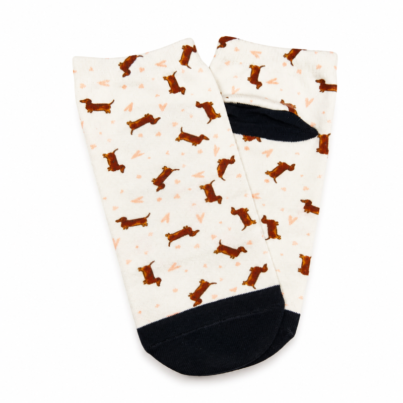 Calcetines De Perro Salchicha