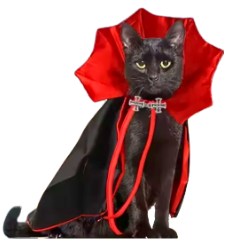 Capa De Drácula Para Mascotas Disfraz De Halloween Gato - Moxy Pet Box