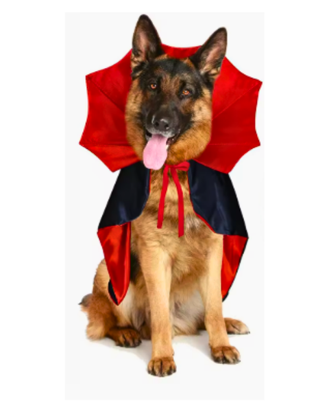 Capa De Drácula Para Mascotas Disfraz De Halloween Perro - Moxy Pet Box