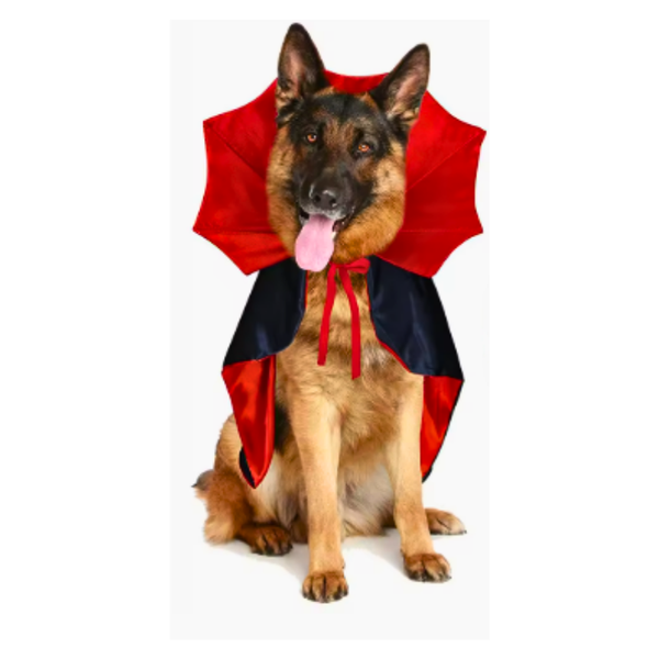 Capa De Drácula Para Mascotas Disfraz De Halloween Perro - Moxy Pet Box