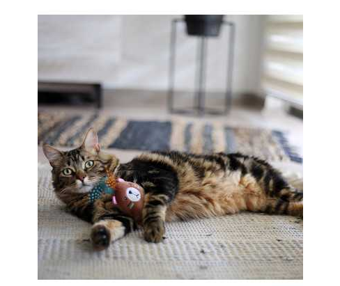 BRNX Juguete Oso Boho Para Gatos
