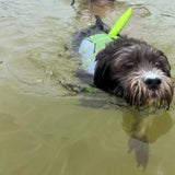 Chaleco Salvavidas De Tiburón - Azul - Moxy Pet Box