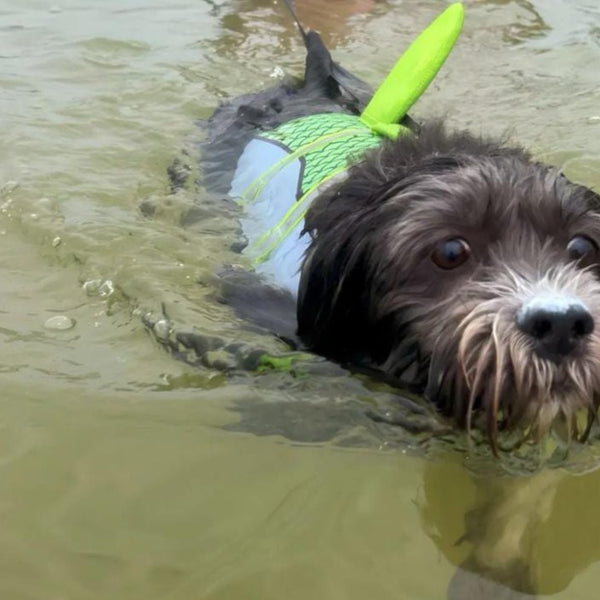 Chaleco Salvavidas De Tiburón - Rosado - Moxy Pet Box