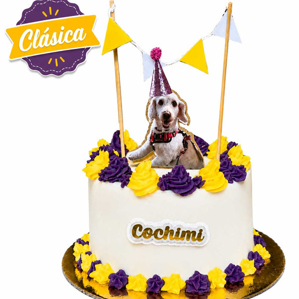Tortas De Cumpleaños Para Mascotas