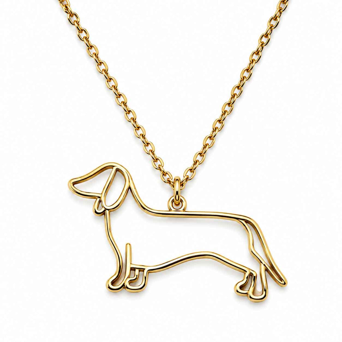 Collar De Acero Inoxidable De Perro Salchicha