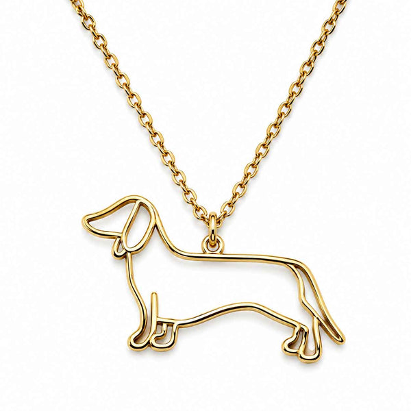 Collar De Acero Inoxidable De Perro Salchicha