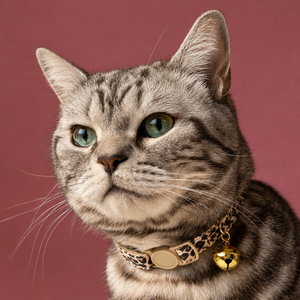 Collar Ajustable Estampado Leopardo Para Gatos Y Perros Pequeños