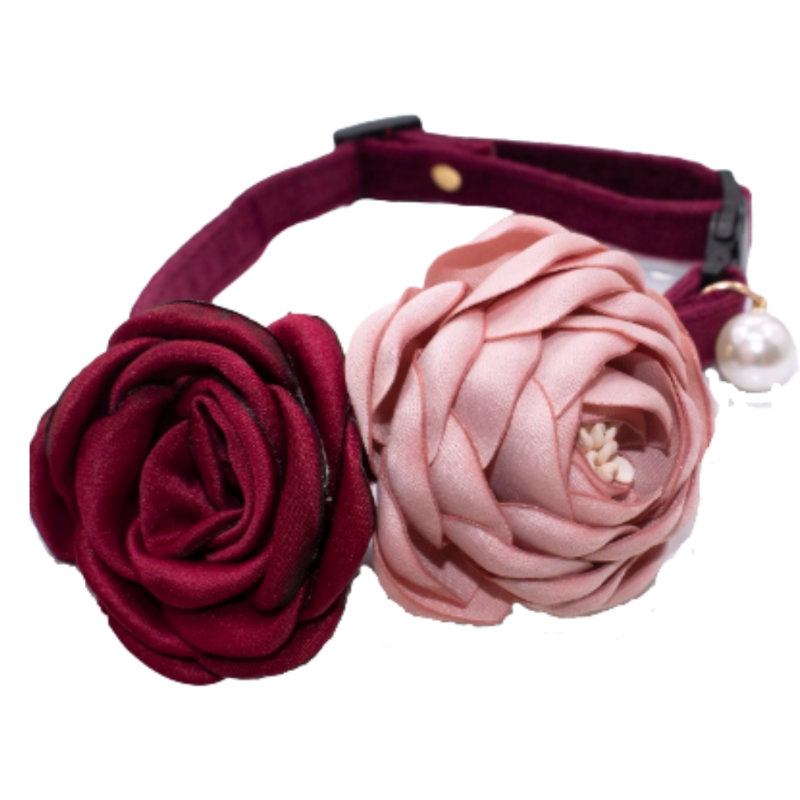 Collar Ajustable Para Gato Con Flor Camelia - Moxy Pet Box