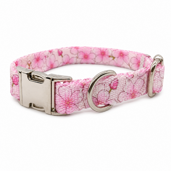 Collar Ajustable Para Mascotas Talla S Con Estampado Rosado