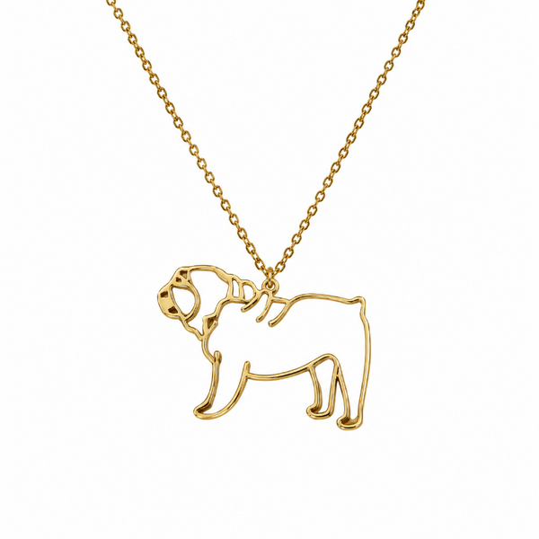 Collar De Acero Inoxidable De Bulldog Inglés