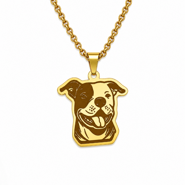Collar De Acero Inoxidable De Pitbull