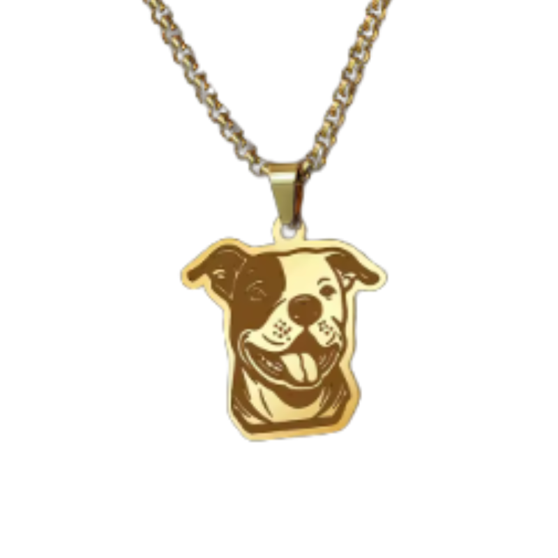 Collar De Acero Inoxidable De Pitbull - Moxy Pet Box
