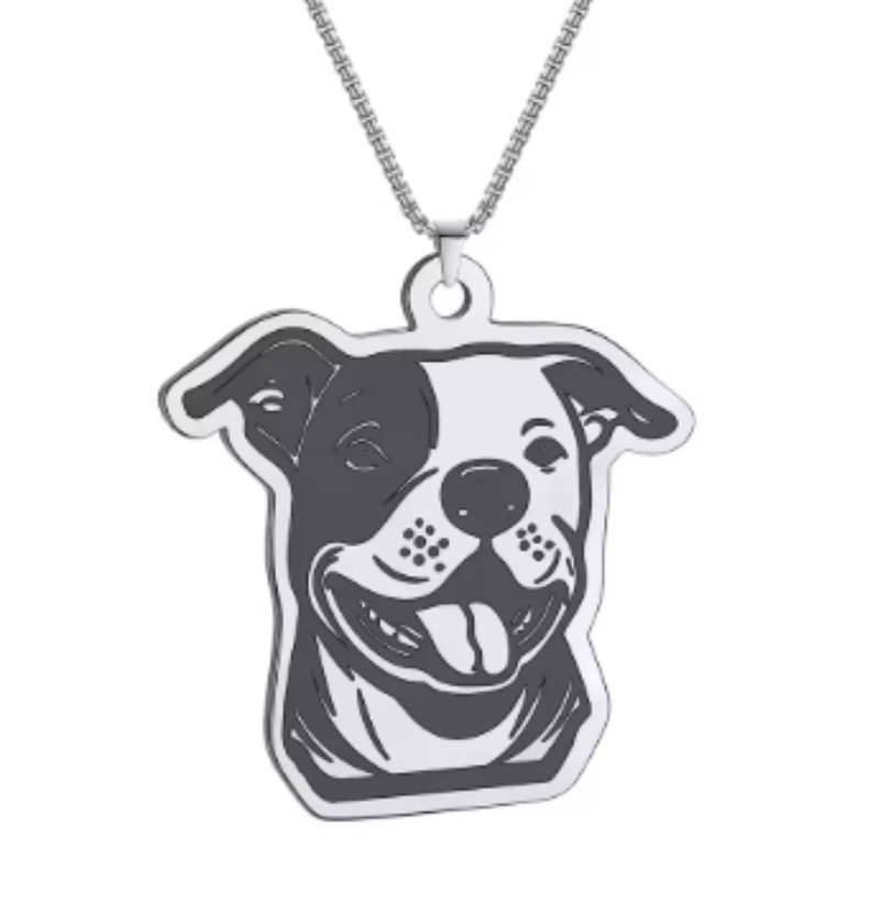 Collar De Acero Inoxidable De Pitbull - Moxy Pet Box 