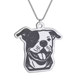 Collar De Acero Inoxidable De Pitbull - Moxy Pet Box 