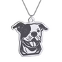 Collar De Acero Inoxidable De Pitbull - Moxy Pet Box 