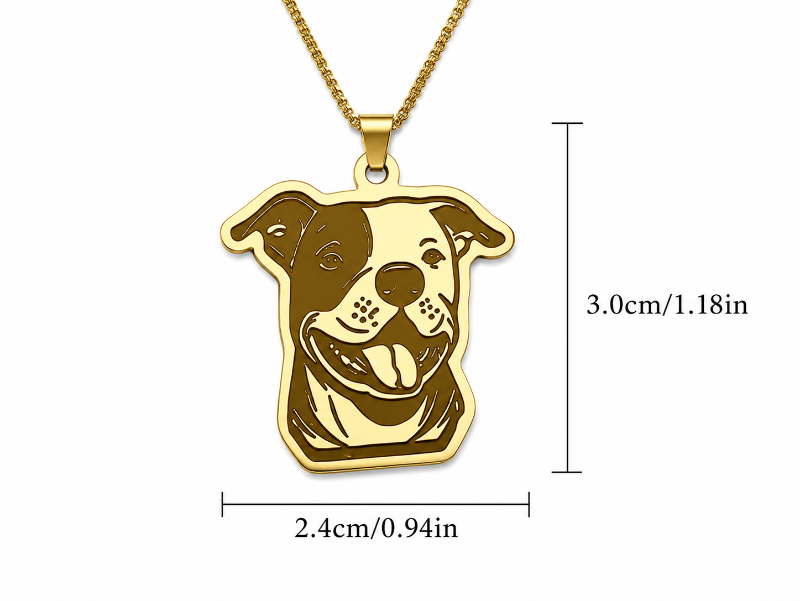 Collar De Acero Inoxidable De Pitbull
