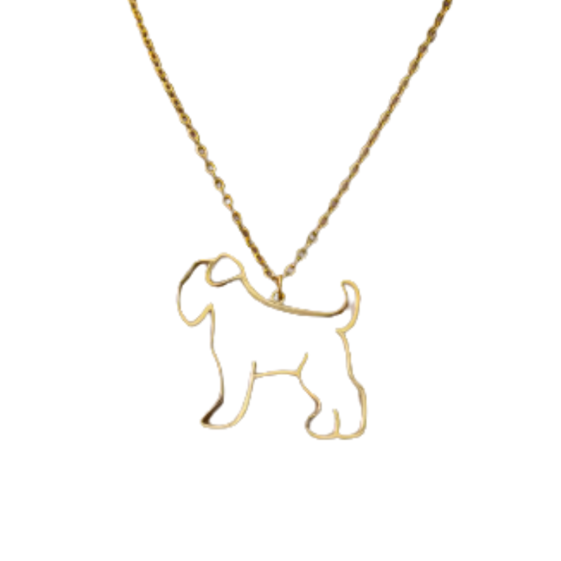 Collar De Acero Inoxidable De Schnauzer - Moxy Pet Box