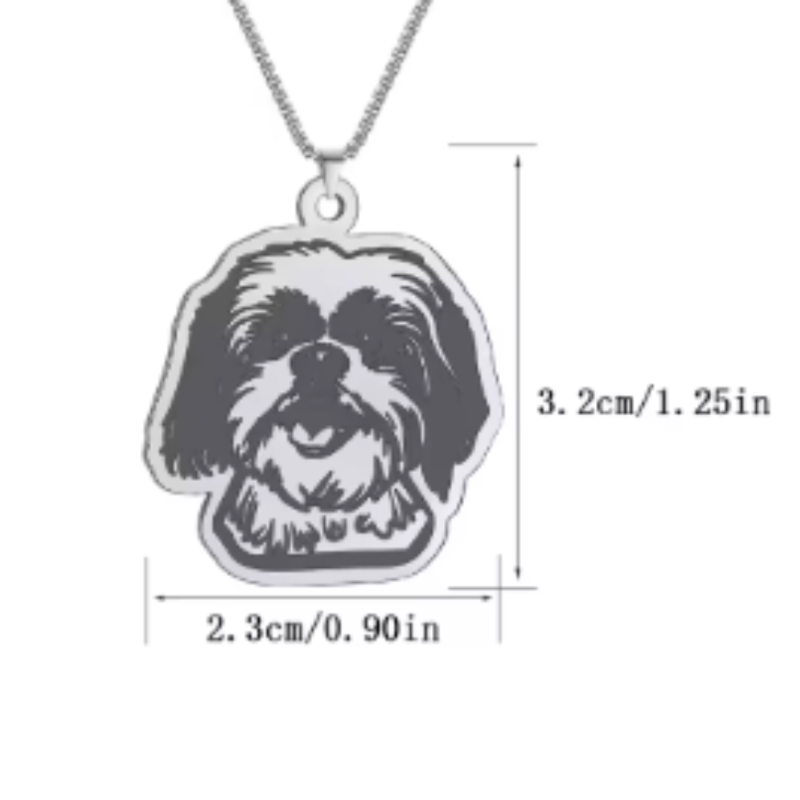 Collar De Acero Inoxidable De Shih Tzu