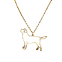 Collar De Acero Inoxidable De Vizsla- Moxy Pet Box