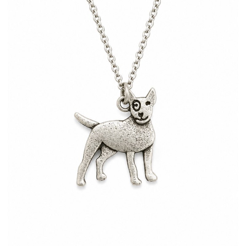 Collar De Bull Terrier Acero Inoxidable Plateado