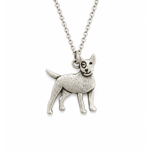 Collar De Bull Terrier Acero Inoxidable Plateado