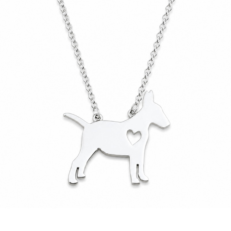 Collar De Bull Terrier con Corazón Acero Inoxidable Plateado
