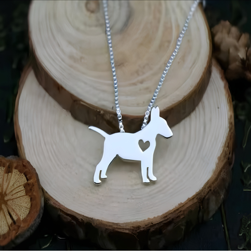 Collar De Bull Terrier con Corazón Acero Inoxidable Plateado