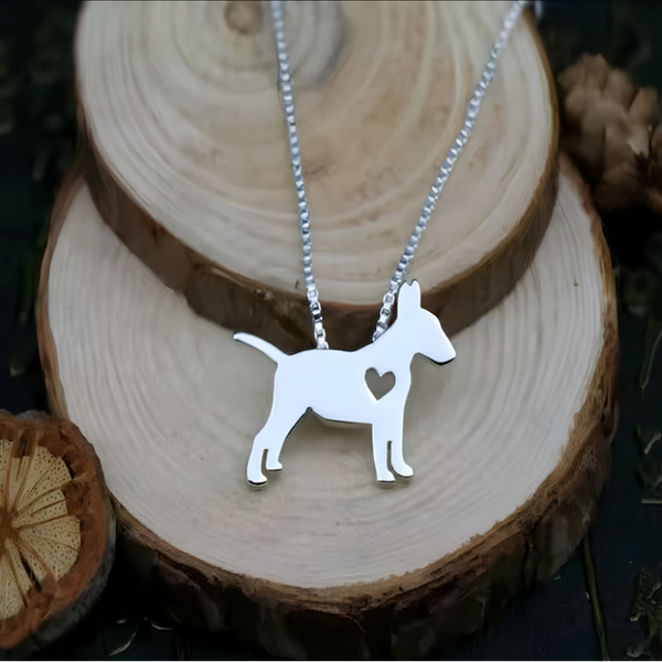 Collar De Bull Terrier con Corazón Acero Inoxidable Plateado