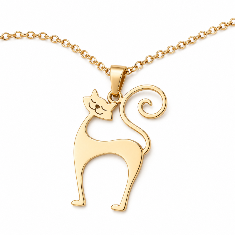 Collar De Gato De Acero Inoxidable