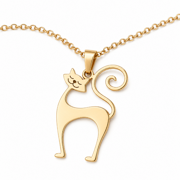 Collar De Gato De Acero Inoxidable