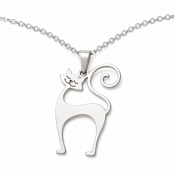 Collar De Gato De Acero Inoxidable