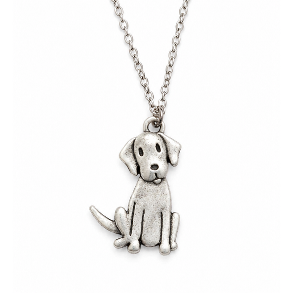 Collar De Labrador Acero Inoxidable Plateado