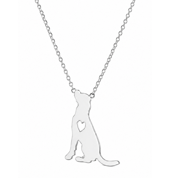 Collar De Perro Con Corazón Acero Inoxidable Plateado