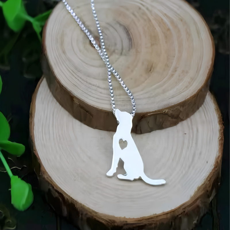 Collar De Perro Con Corazón Acero Inoxidable Plateado