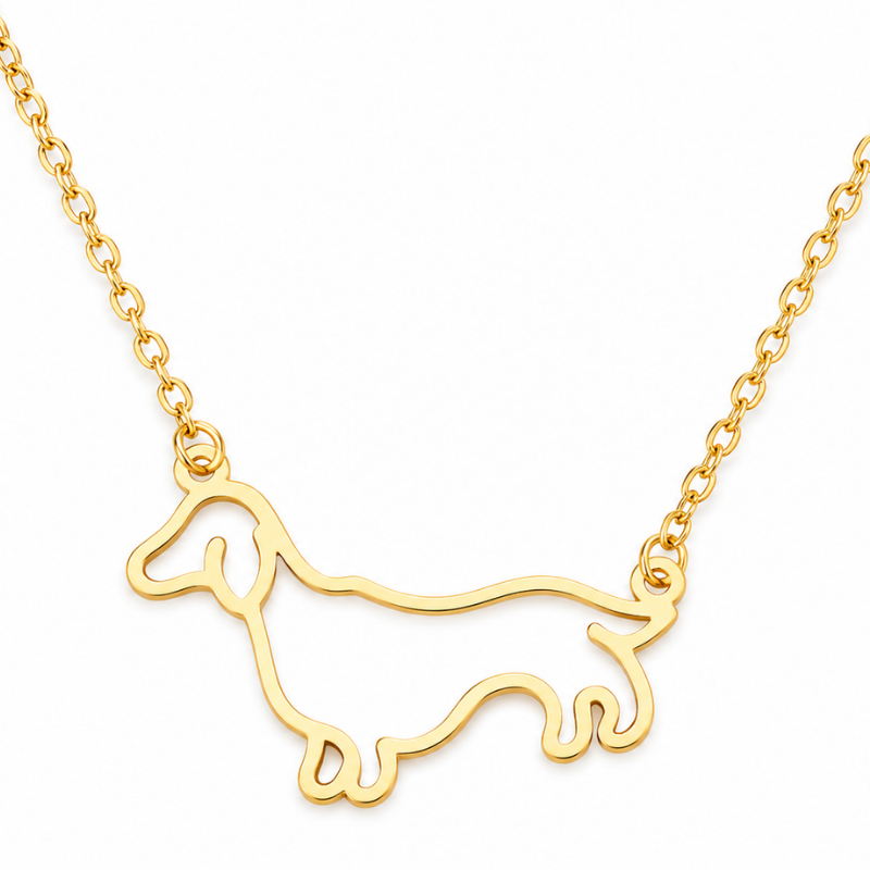 Collar De Perro Salchicha Acero Inoxidable Dorado