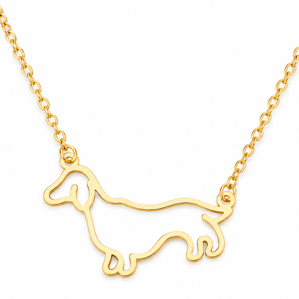 Collar De Perro Salchicha Acero Inoxidable Dorado