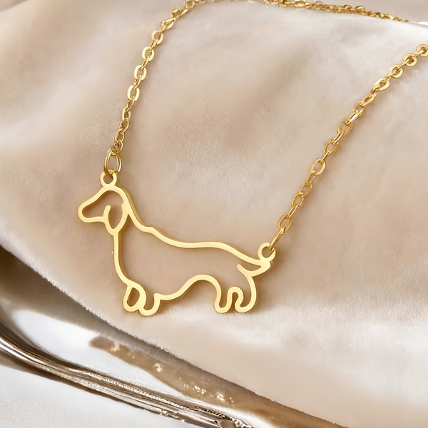 Collar De Perro Salchicha Acero Inoxidable Dorado