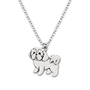 Collar De Shih Tzu Acero Inoxidable Plateado