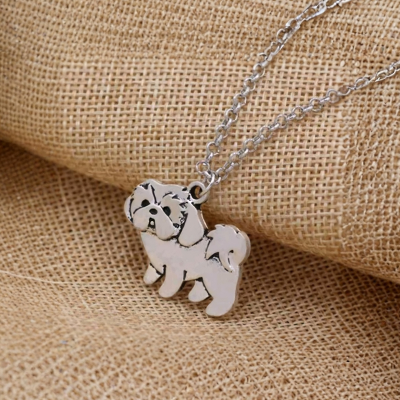 Collar De Shih Tzu Acero Inoxidable Plateado