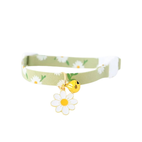 Collar Verde Ajustable para Mascotas - Moxy Pet Box