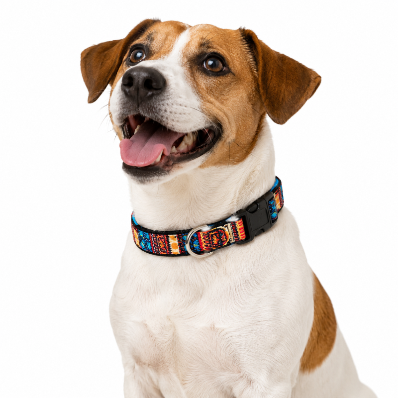 Collar Wonder Dog Ajustable Para Perros Y Gatos Talla S