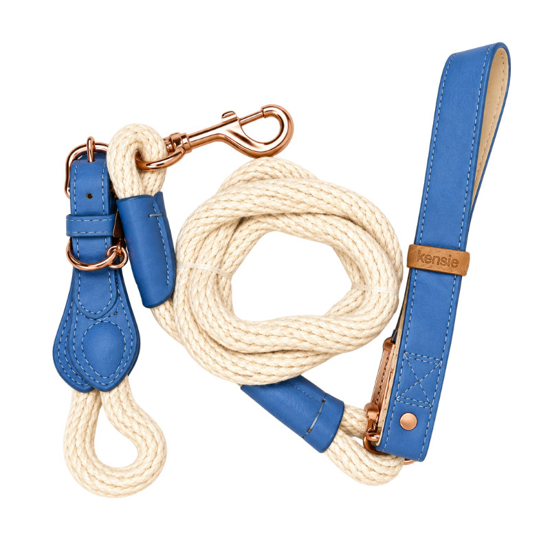 Collar Y Correa Azul Kensie Para Perros Mediano
