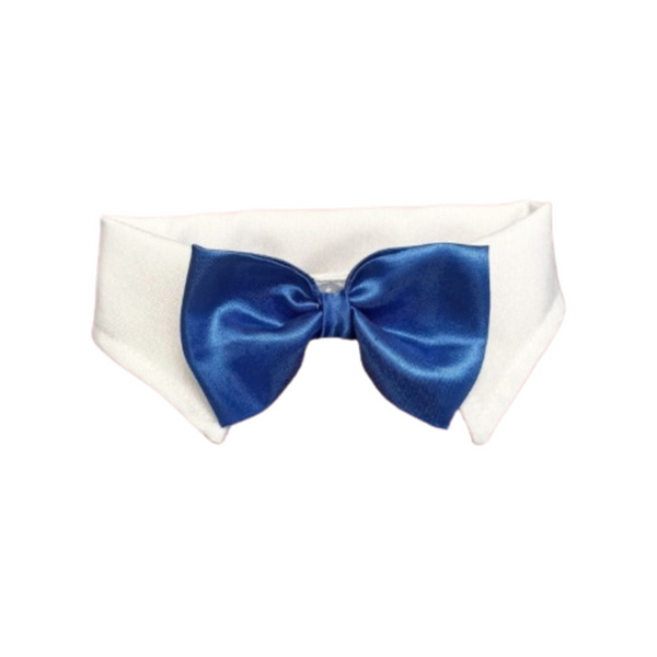 Corbatín Azul Para Perro/Gato - Moxy Pet Box