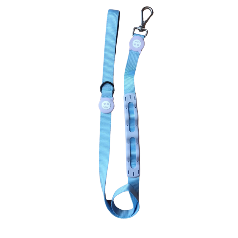 Correa Anti Tirones Morado Para Perros - Moxy Pet Box