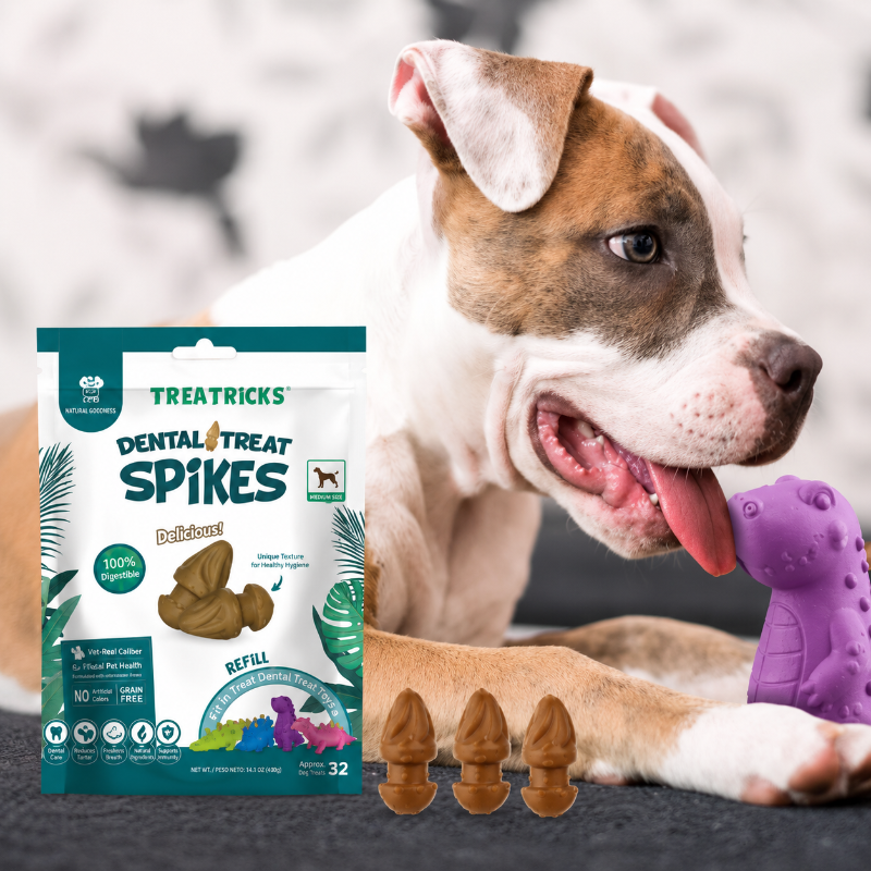Dental Treat Spikes Snack Recarga Sabor Pollo