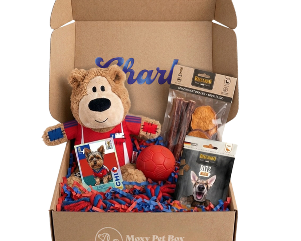 Moxy Pet Box Mundial 2026 — Caja Personalizada Para Mascotas