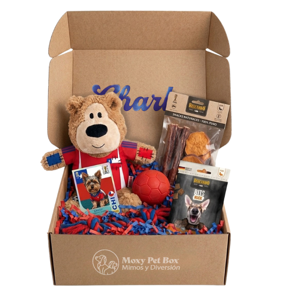 Moxy Pet Box Mundial 2026 — Caja Personalizada Para Mascotas