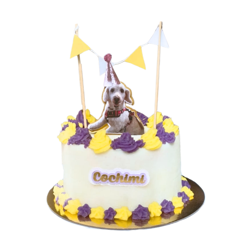 Tortas De Cumpleaños Para Mascotas