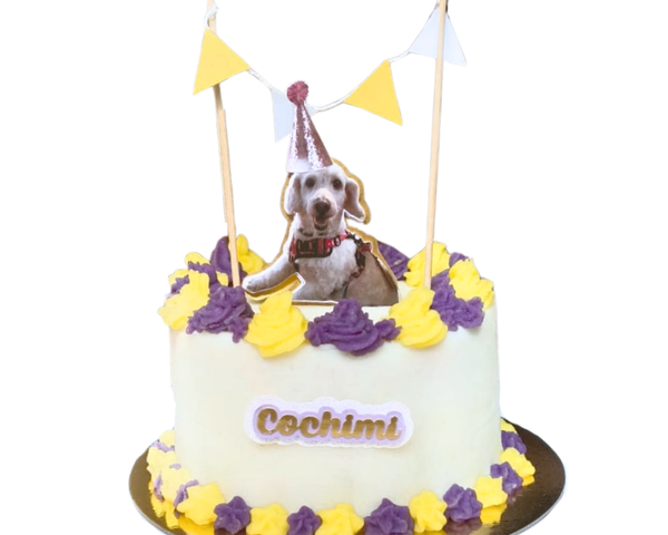 Tortas De Cumpleaños Para Mascotas
